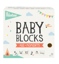 Milestone Baby Age & Moments Blocks